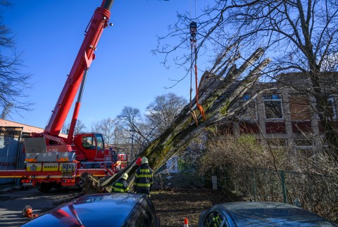 Bratislava škody strom vietor vichrica (3)