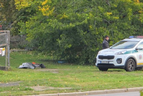 Telo pod Mostom SNP 3