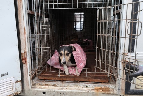 Russia_Ukraine_War045092