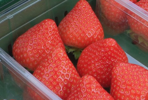 jahody il ovocie (2)