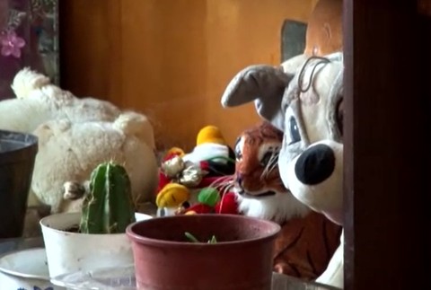 Matka, ktorá zachránila život synovi, bojuje o život. 