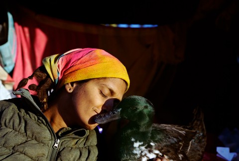 Daniel Skwarna - Desert Dweller