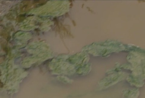 Jedy z bratislavskej skládky kontaminovali vodu aj pôdu. 