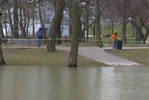 Screenshot 2023-03-13 164333