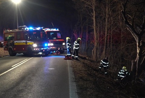 [multi] 022425KSZ 3059