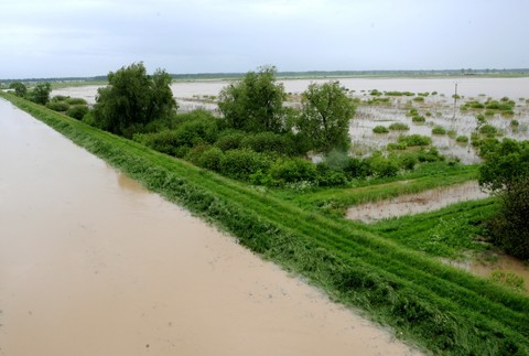 vyliata rieka ondava, zaliate polia, luky