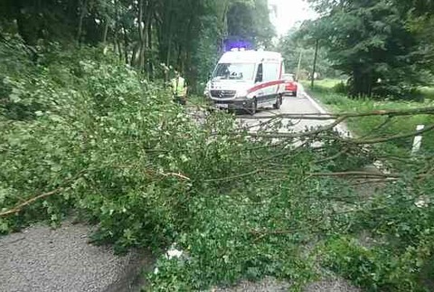 Nákladné auto narazilo do stromu 