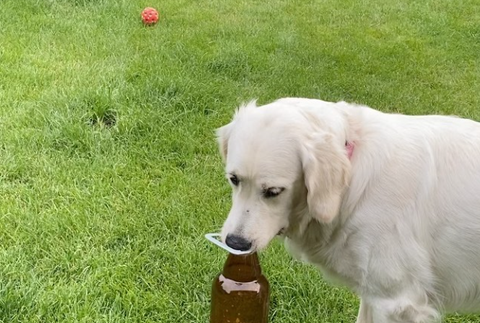 Maybe - sučka Jiřího Langmajera