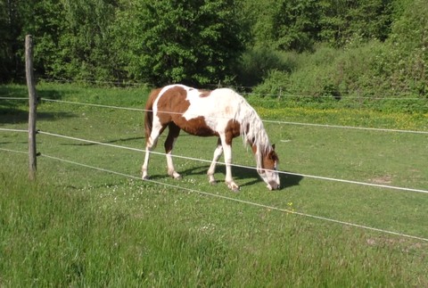 [multi] 050624RCF 2347