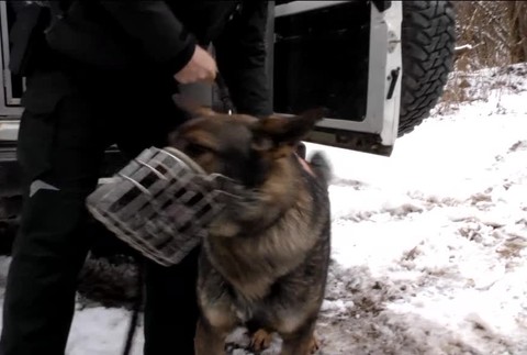 [multi] Streľba na "čiare" 2659