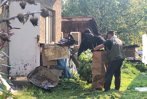 Kukláči zadržali Ludvíka (36). V záhrade za domom mal pestovať marihuanu