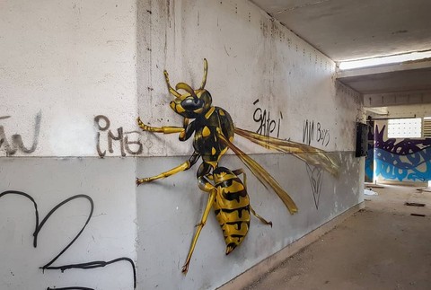 Strašidelné graffiti hmyzu
