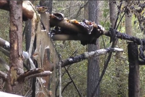 Krvavý spor bezdomovcov pri Spišskej Novej Vsi 