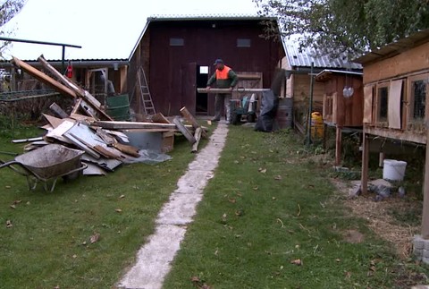 Granáty na záhrade2562