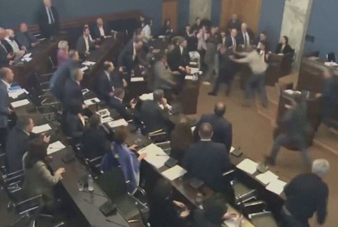 bitka v gruzinskom parlamente (5)