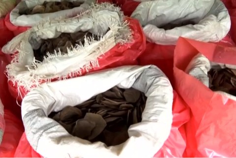 Najväčší zadržaný nález. Úrady na lodi našli 8,8 ton slonoviny