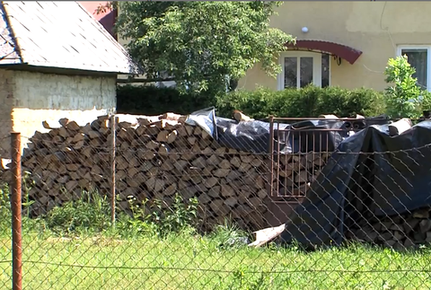 Lesy v národnom parku