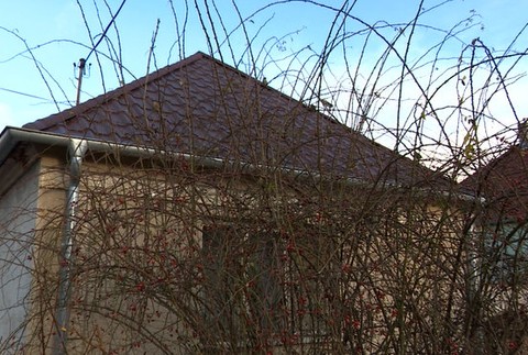 Dom, kde došlo k útoku psa na ženu 