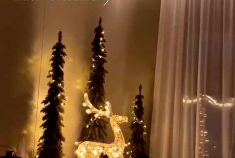 Vianoce u Sone Skoncovej