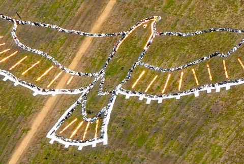 Solárny orol v Los Angeles, umenie viditeľné z vesmíru