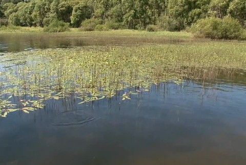 Muž z Gruzínska sa ma utopiť na Oravskej priehrade. Pátrajú po ňom ale len dobrovoľníci