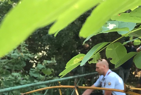 napúšťanie nádrže