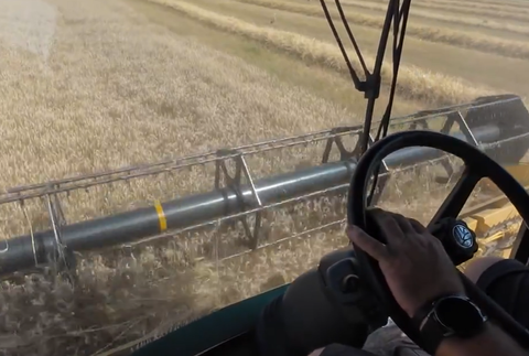 Zver ničí úrodu 3