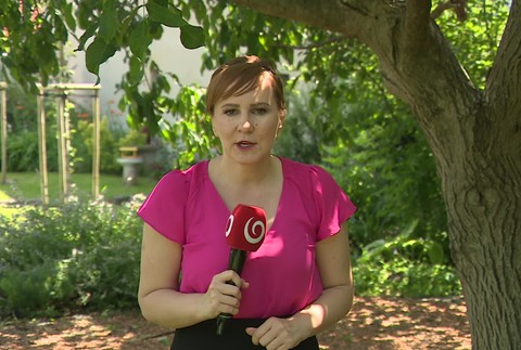 [multi] 061924PCV 1320