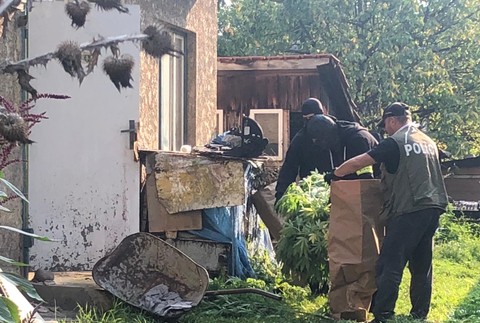 Kukláči zadržali Ludvíka (36). V záhrade za domom mal pestovať marihuanu