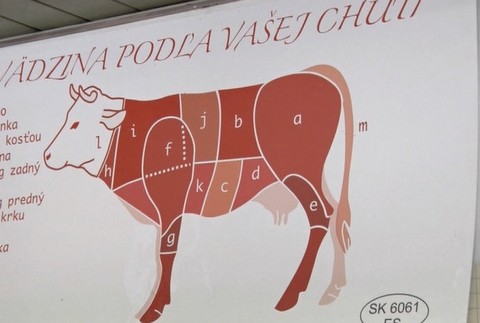 Hovädzí dobytok - ilustračné