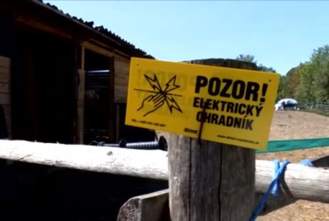 Nehoda na diaľnici. Auto v plnej rýchlosti narazilo do koňa