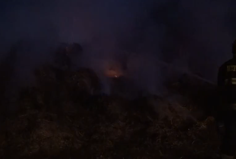 Screenshot 2024-07-26 124900