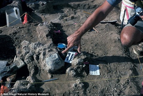 Výskum, ktorý možno prepíše históriu