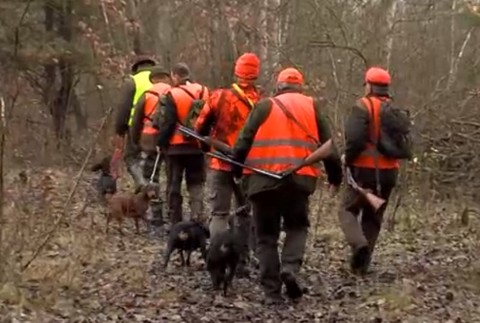 Výskyt pseudobesnoty