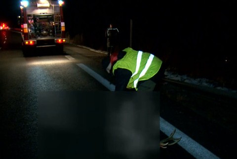 Neuveriteľný manéver vodičky po náraze. Jeleň ale nehodu neprežil