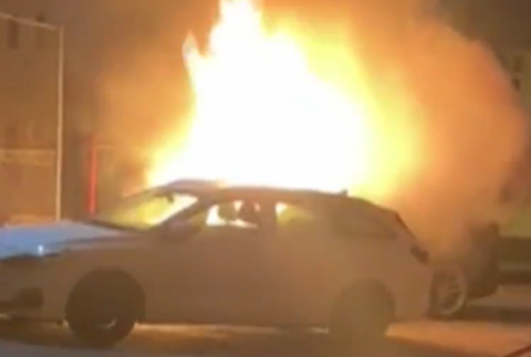 Screenshot 2023-03-09 102817