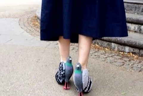 Umelcom sa hranice nekladú: Vysoké topánky v tvare holubov1