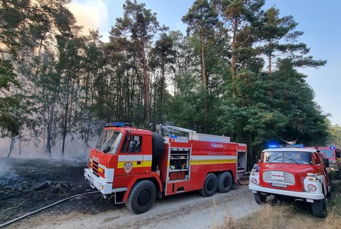 WhatsApp Image 2024-09-04 at 15.16.30