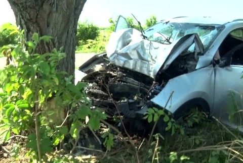 KN Náraz do stromu1741