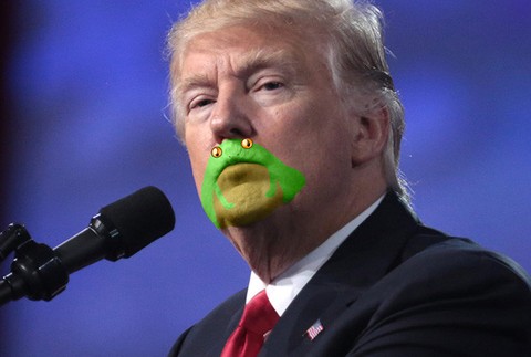 Donald Trump, žaba