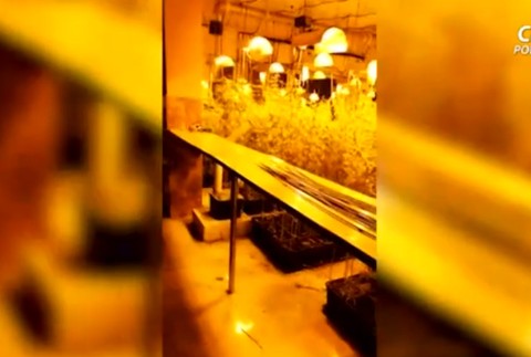 Polícia rozbila gang narkobarónov. Zaistili drogy za 30 miliónov eur