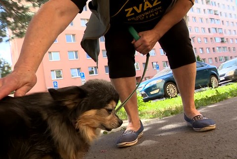 [multi] Smutný príbeh 7865