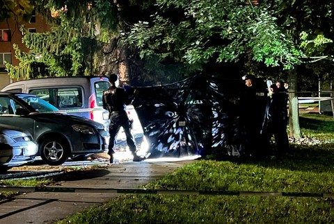 vražda žilina sídlisko