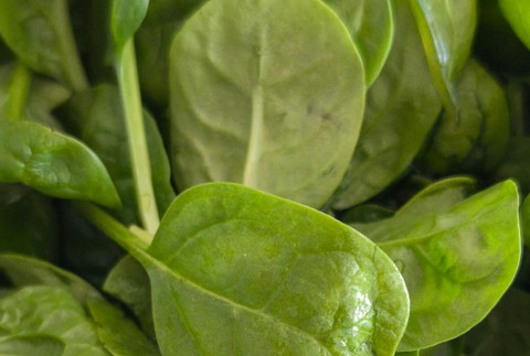 pexels-irene-asthetik-2147866784-30801724