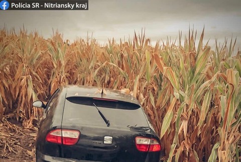 300965532_1195773904300945_2624799751921028798_n