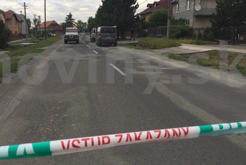 Bidovce nájdená mína 2