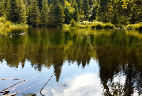 Kam s deťmi cez prázdniny? Zamierte na severovýchod Slovenska