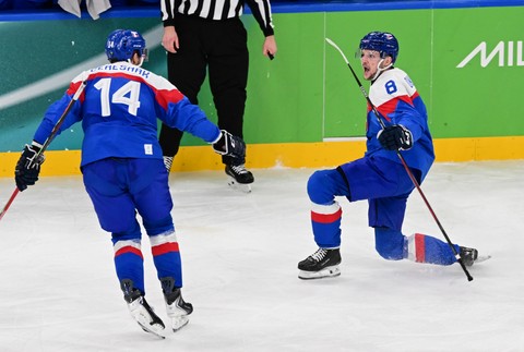 Zápas SLovensko - Nemecko