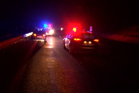 Neuveriteľný manéver vodičky po náraze. Jeleň ale nehodu neprežil