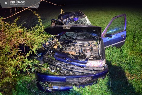 nehoda medzi obcami Nový Tekov a Malé Kozmálovce (2)